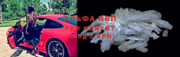 крисы Богородицк