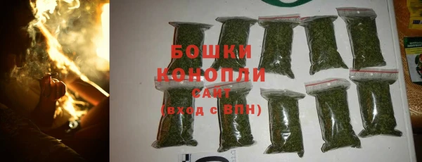 крисы Богородицк