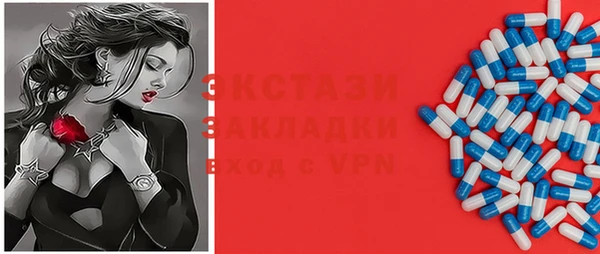 крисы Богородицк