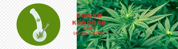спиды Богородск