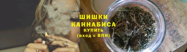 спиды Богородск