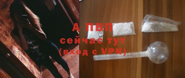 спиды Богородск