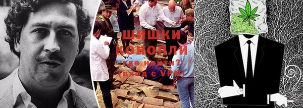 бошки Богданович