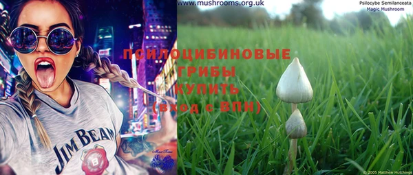 бошки Богданович
