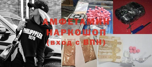 крисы Богородицк