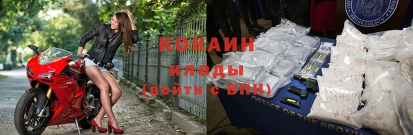 крисы Богородицк