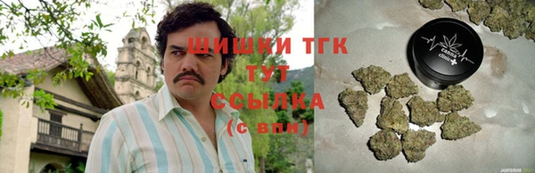 бошки Богданович