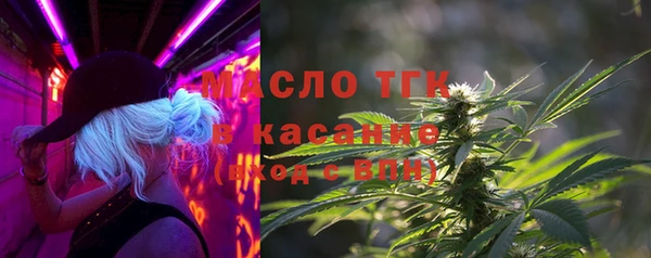 крисы Богородицк