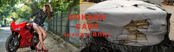 крисы Богородицк