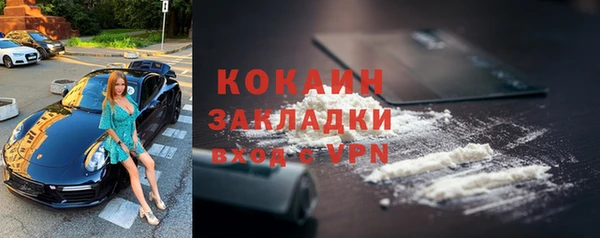 бошки Богданович